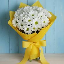 Букет цветов из:  Хризантемы в Зеленокумске