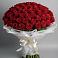 Букет 101 Красная роза Блэк Мэджик в Зеленокумске