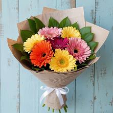 Букет цветов из:  Герберы #REPLACE_PRED# Зеленокумске