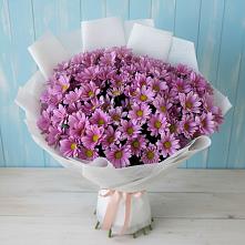 Букет цветов из:  Хризантемы в Зеленокумске