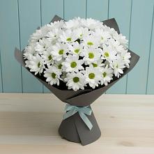 Букет цветов из:  Хризантемы #REPLACE_PRED# Зеленокумске