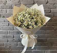 Букет цветов из:  Ромашки в Зеленокумске