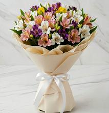 Букет цветов из:  Альстромерии в Зеленокумске