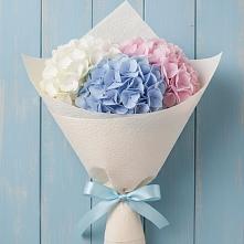 Букет цветов из:  Гортензия #REPLACE_PRED# Зеленокумске