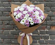 Букет цветов из:  Хризантемы в Зеленокумске