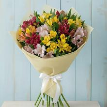 Букет цветов из:  Альстромерии в Зеленокумске