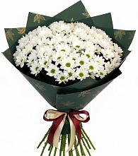 Букет цветов из:  Хризантемы в Зеленокумске