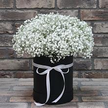 Цветочная композиция из Гипсофила в шляпной коробке #REPLACE_PRED# Зеленокумске