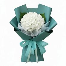 Букет цветов из:  Гортензия #REPLACE_PRED# Зеленокумске